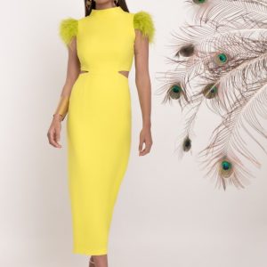 Matilde Cano vestido calipo