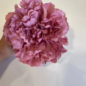 Peonia Rosa Maquillaje