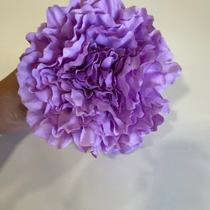 Peonia Malva