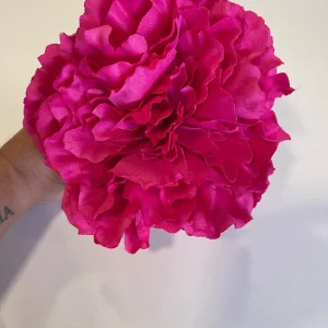 Peonia Rosa Fucsia