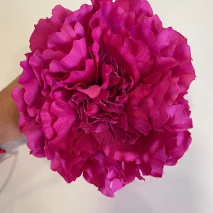 Peonia Buganvilla