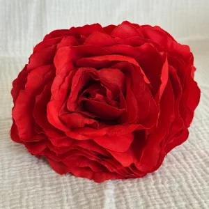 Rosa Color Rojo