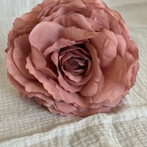 Rosa Color Maquillaje