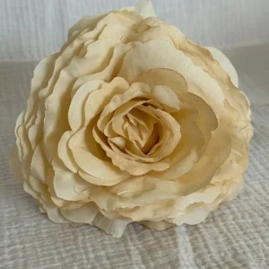 Rosa color beige