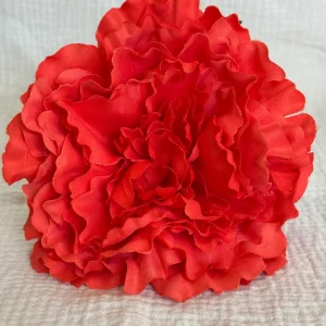 Peonia Coral