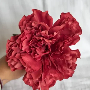 Peonia vino rosado