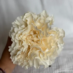 Peonia beige