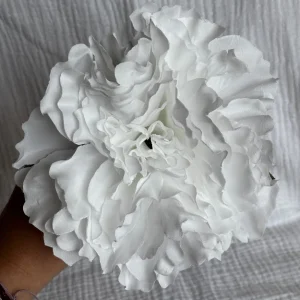 Peonia blanca
