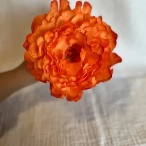 Peonia Reina Naranja