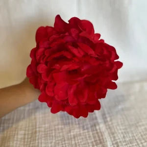 Peonia Reina Roja