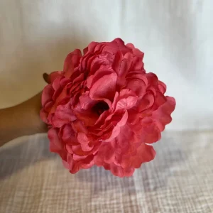 Peonia Reina Rosa Coral