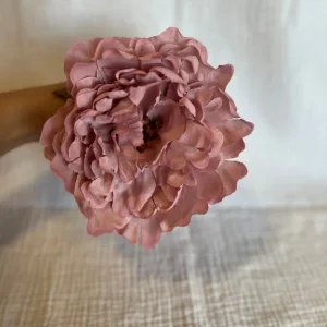 Peonia Reina Rosa Bebe