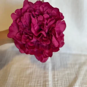 Peonia Reina Buganvilla