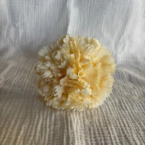 Clavel beige