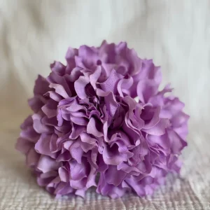 Dalia Lila