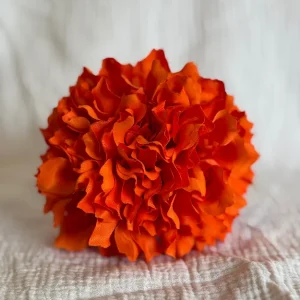 Dalia Naranja