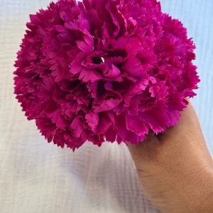 Clavel Buganvilla