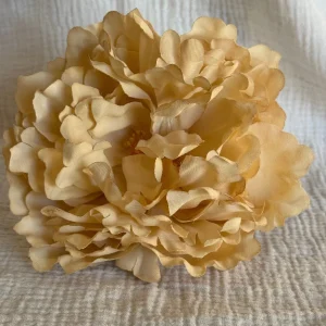 Peonia Sevilla beige