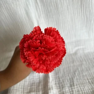 Clavel Mini Coral