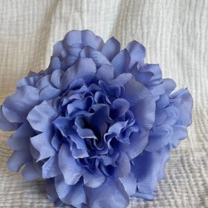 Rosa Cádiz Celeste
