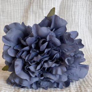 Rosa Cádiz Azul Vaquero