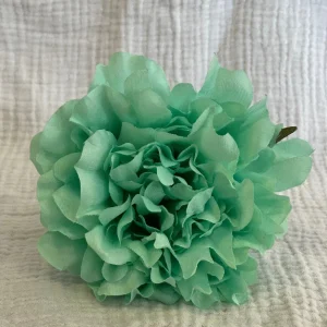 Rosa Cádiz Verde Manzana