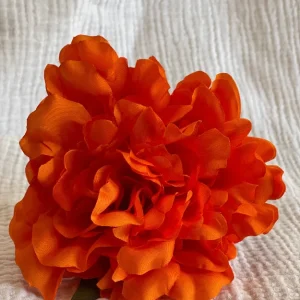 Rosa Cádiz Naranja