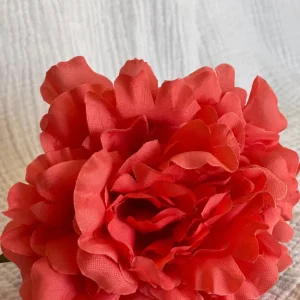 Rosa Cádiz Coral