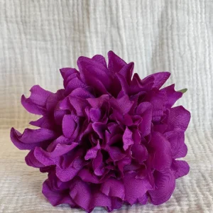 Rosa Cádiz Morada