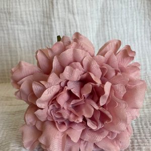 Rosa Cádiz Rosa Bebe