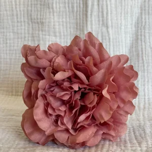 Rosa Cádiz Rosa Maquillaje