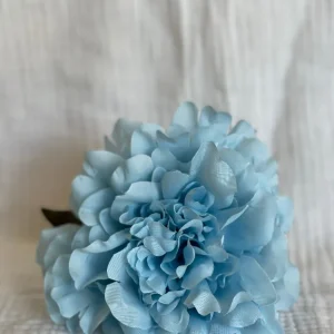 Rosa Cádiz Azul Cielo