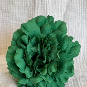 Rosa Cádiz Verde