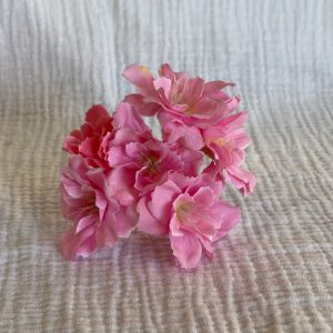 Cherry rosa chicle