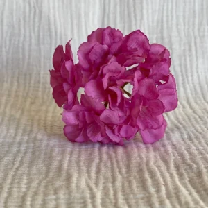 Cherry rosa