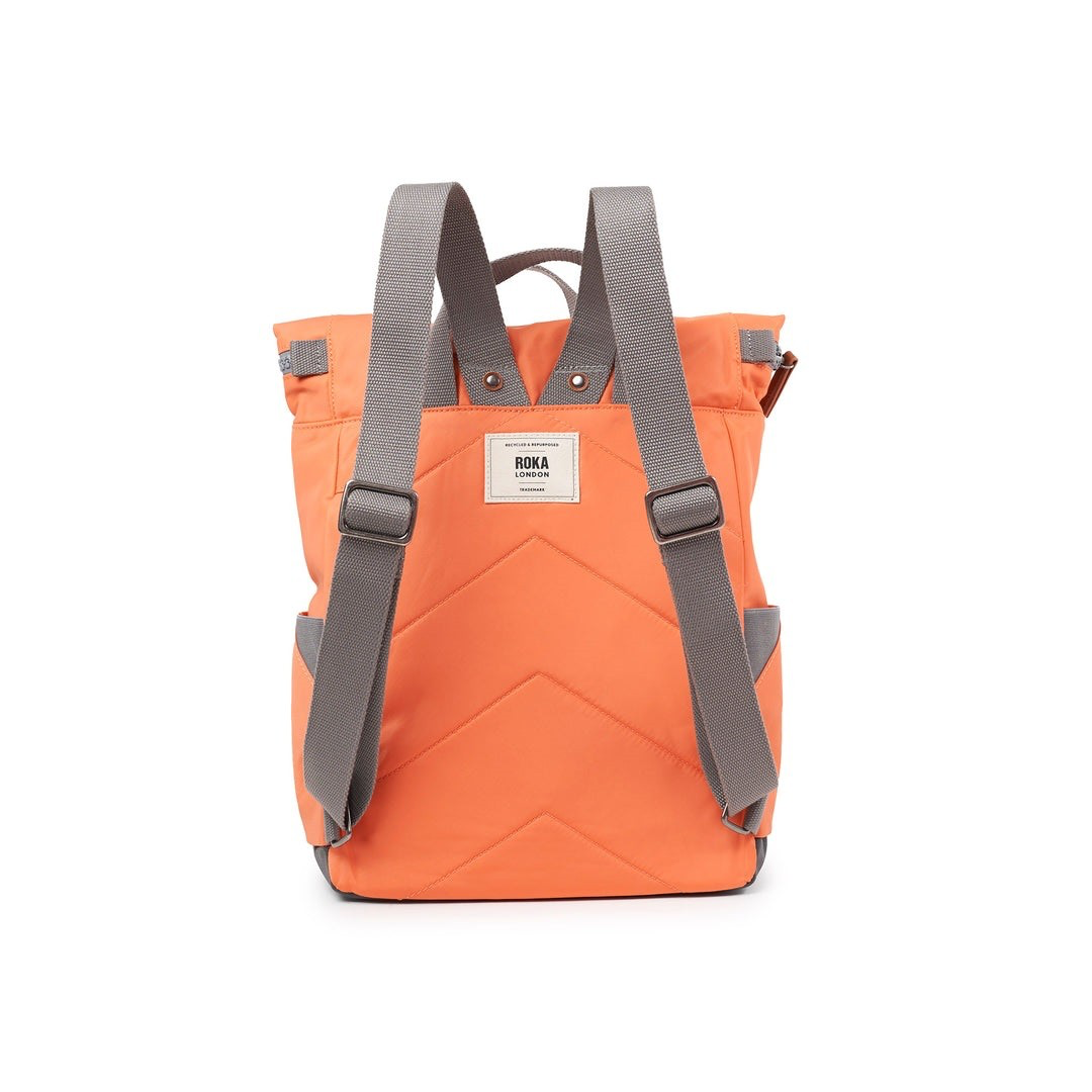 Canfield B Firecracker - Imagen 4