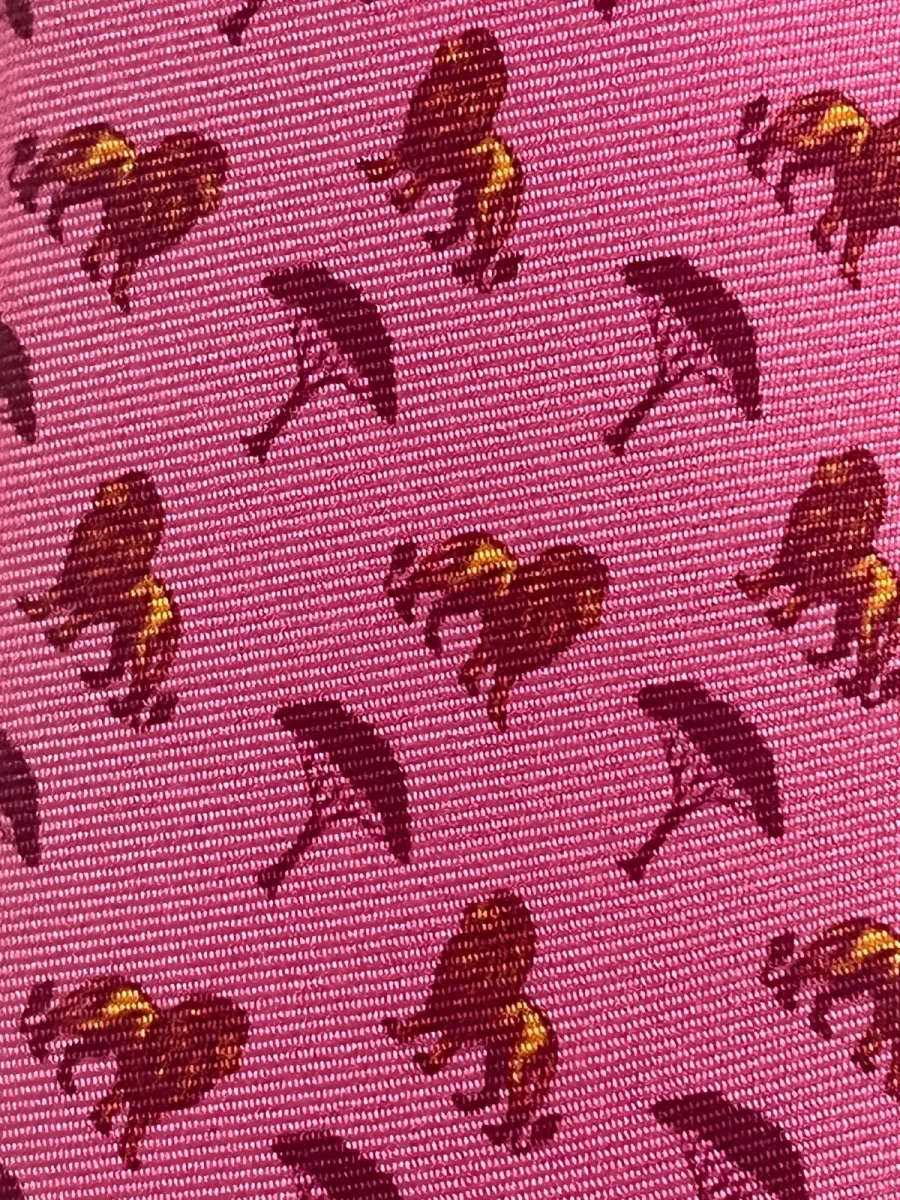 Corbata Leones Rosa - Imagen 3